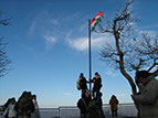 image-1