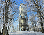 image-1