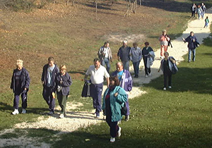 img-1
